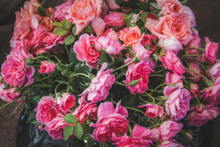 Rose & Patchouli